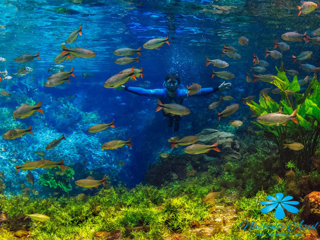 Flutuação - Nascente Azul - Bonito MS