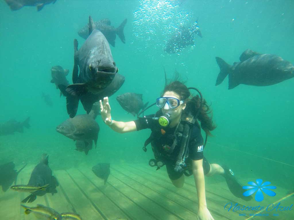 Mergulho em Bonito MS - Nascente Azul