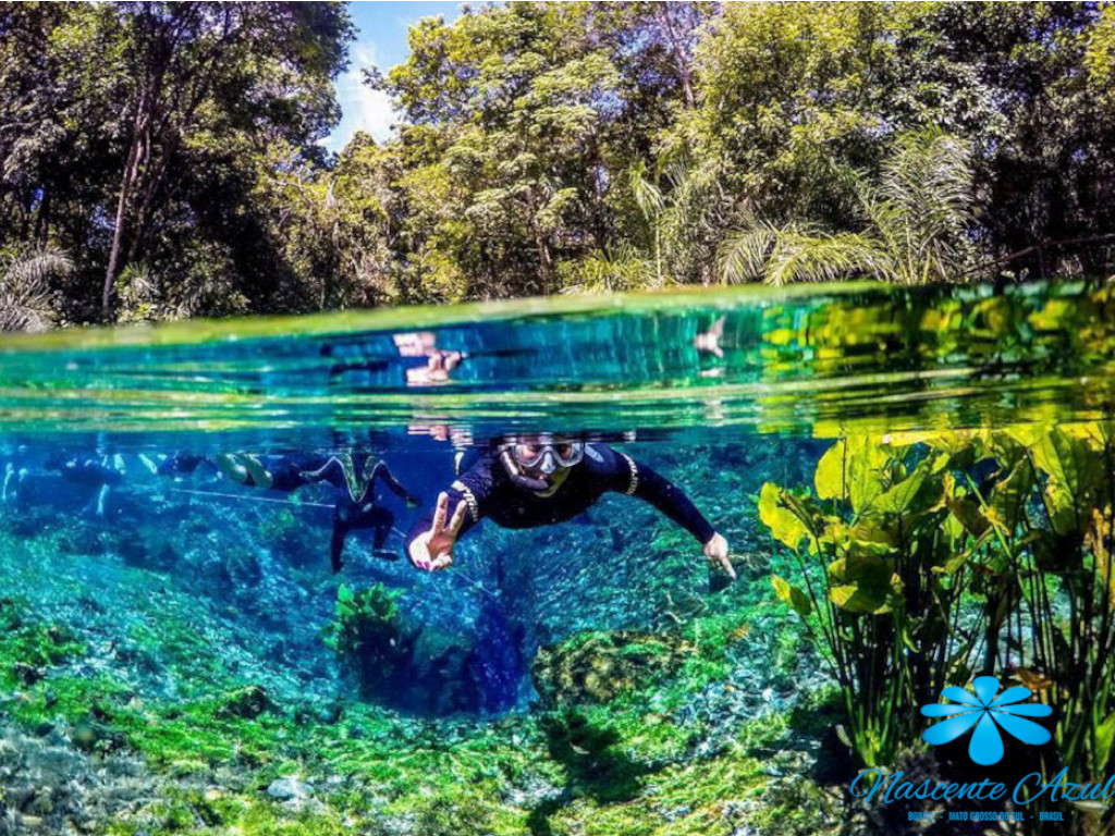 Águas cristalinas - flutuação Nascente Azul