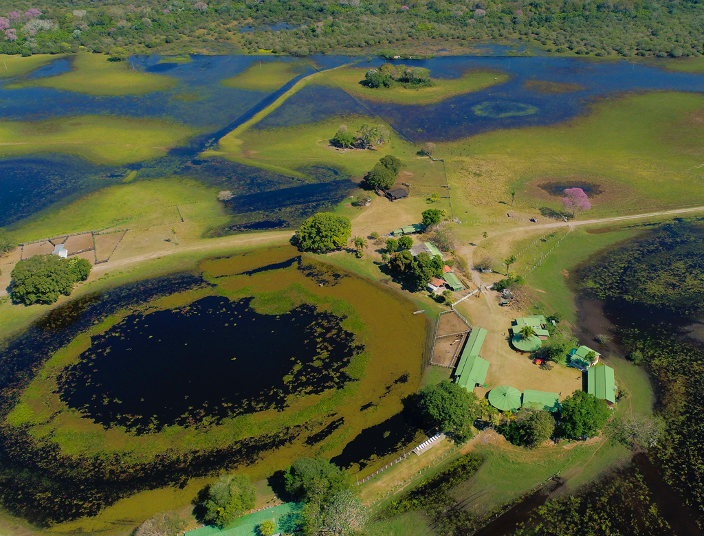 Paisagens Naturais no Pantanal Sul-Mato-Grossense