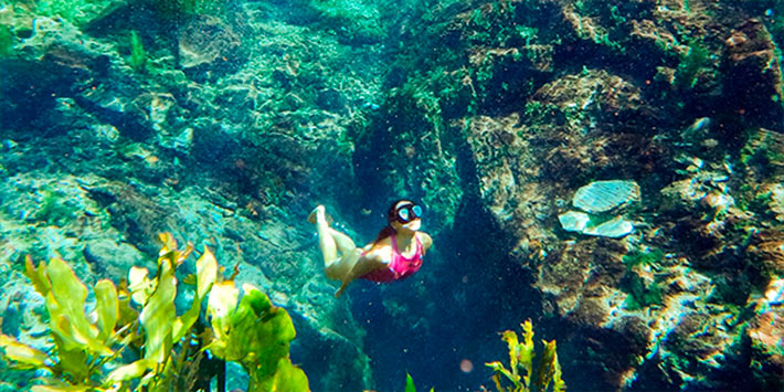 Pessoa flutuando em água azul e cristalina, lago Nascente Azul, com vista de plantas subaquáticas e variedade de peixes - descontos para sul-mato-grossense em Bonito