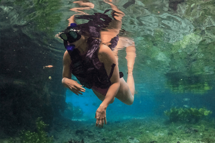 Pessoa com máscara e roupa de mergulho flutuando sobre água cristalina e contemplando vários peixes e plantas aquáticas. 