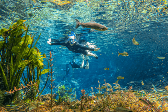Pessoa fazendo flutuação em águas cristalinas com visibilidade total de peixes e plantas subaquáticas - turismo sustentável certificado pelo Selo Verde do Instituto Chico Mendes