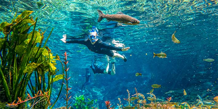 Água cristalina e visibilidade de peixes e plantas subaquáticas na atividade de flutuação da Nascente Azul