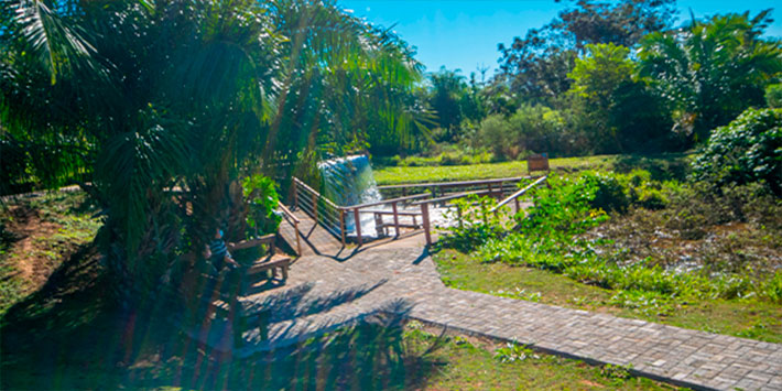 Vista panorâmica de trilha ecológica reflorestada com bioma do pantanal - experiências para um dia das mães em Bonito MS inesquecível