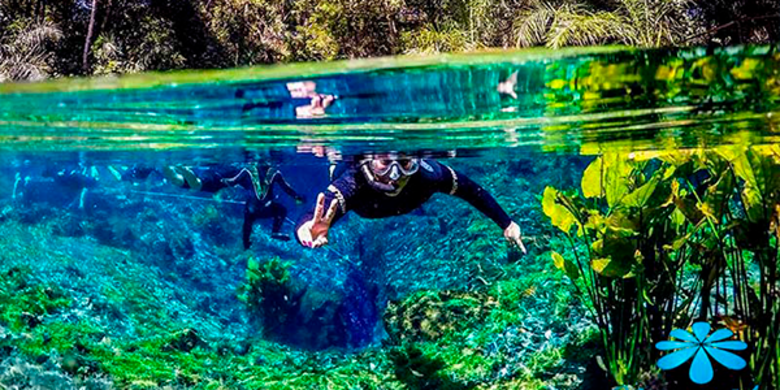 Imagem de turista flutuando sob as águas cristalinas e azuis de Bonito, com metade da foto pegando o fundo do rio e a outra mostrando a vegetação que cerca o lago. 