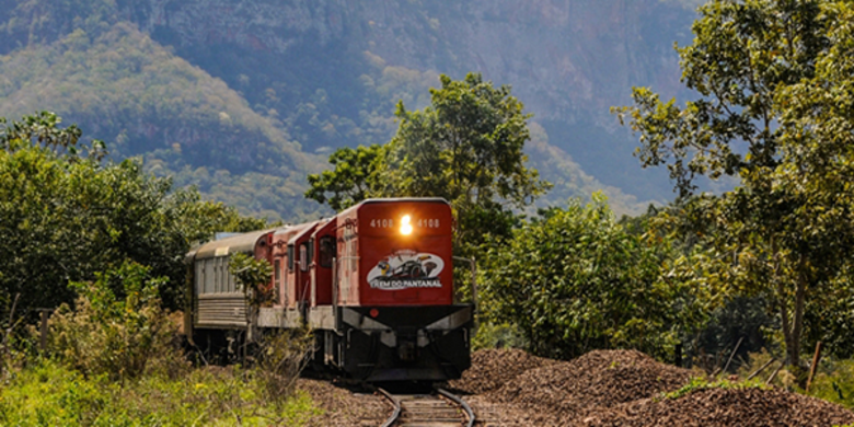 7 de Setembro: imagem de passeio de trem passando pela região verdejante de Miranda