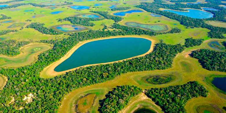 As 7 maravilhas da natureza do Brasil: paisagem do Pantanal brasileiro