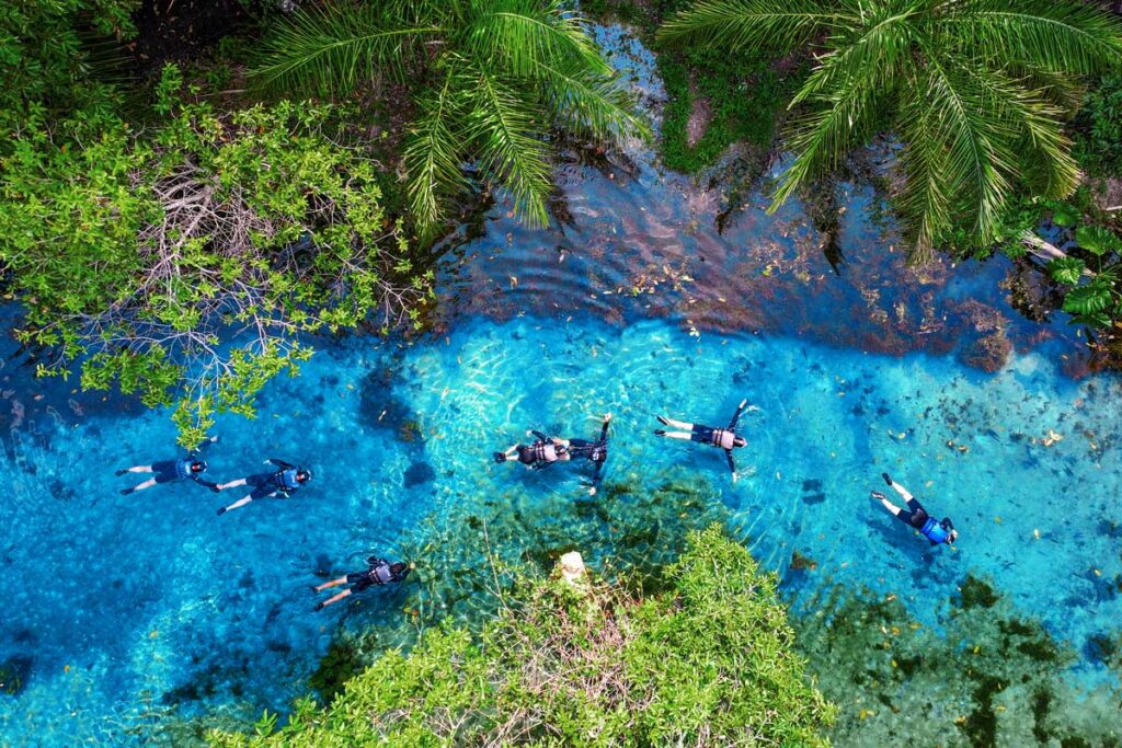 Rio Nascente Azul impressiona como uma das águas mais cristalinas do mundo