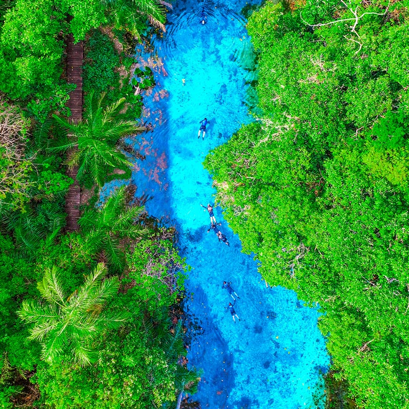 Nascente Azul é o passeio mais vendido de Bonito MS