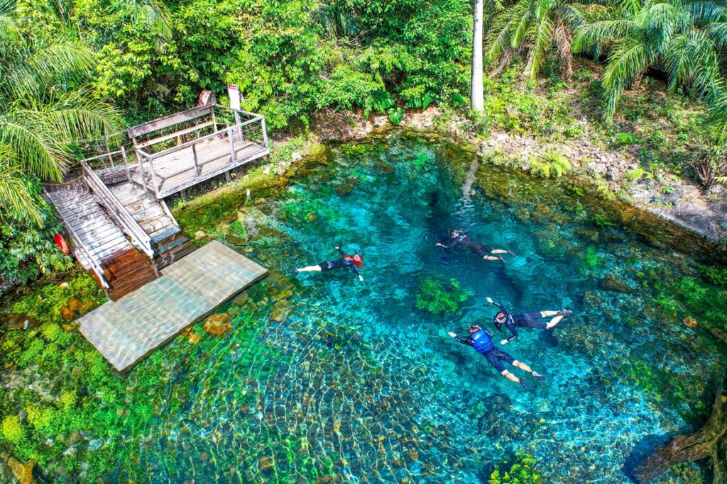 Nascente Azul: um passeio em Bonito que combina flutuação em águas cristalinas, contato intenso com a natureza e uma das experiências mais completas do ecoturismo brasileiro