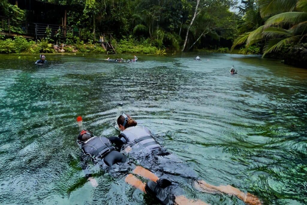 O que fazer em Bonito em dias chuvosos? A Nascente Azul oferece flutuação segura, água limpa e uma experiência sensorial única