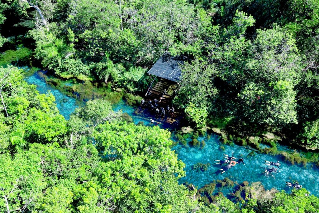 Nascente Azul em Bonito/MS, passeio premiado com Travelers’ Choice 2026 do Tripadvisor