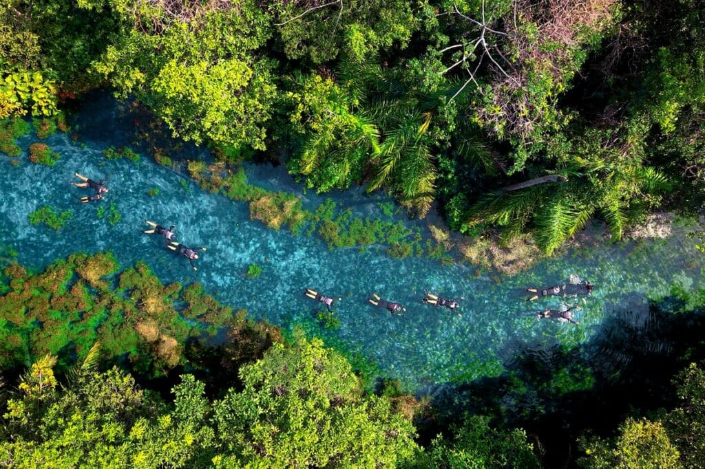 Flutuação cristalina na Nascente Azul, um dos destaques do turismo em Bonito MS