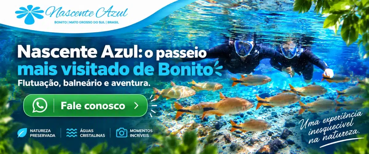 CTA – Topo, meio e final