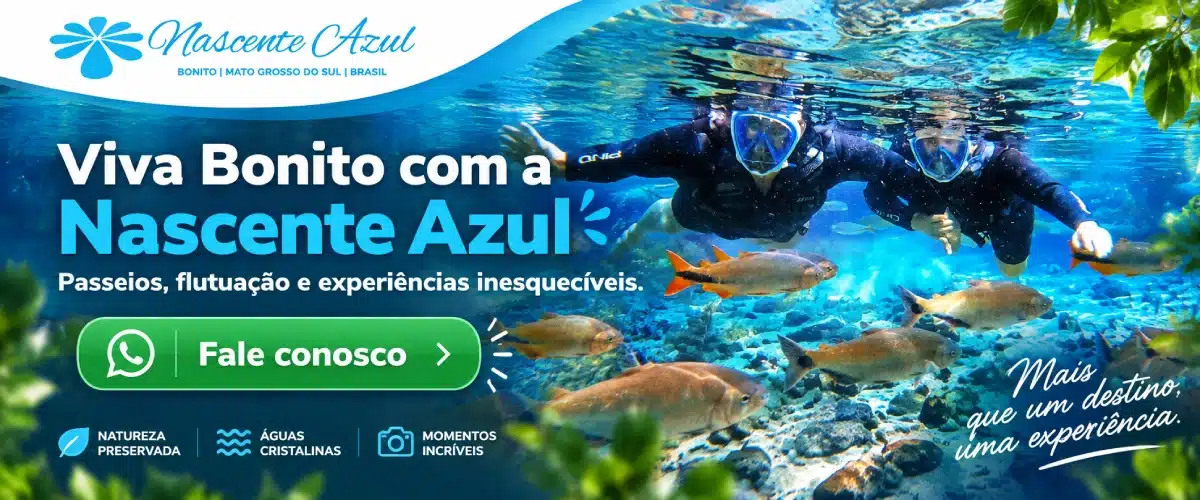 CTA – Topo, meio e final