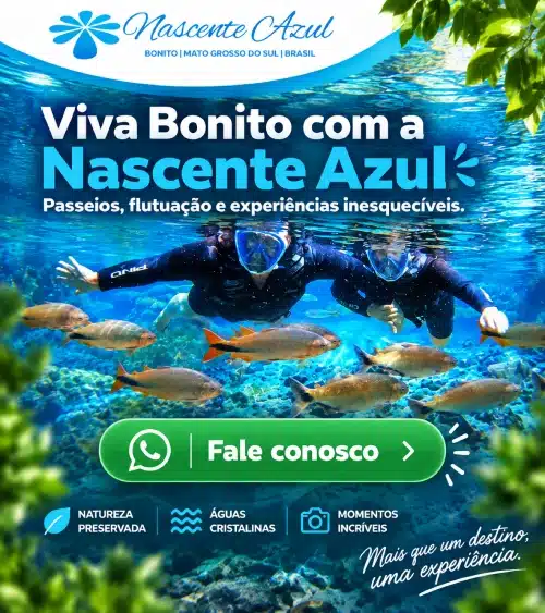 CTA – Topo, meio e final